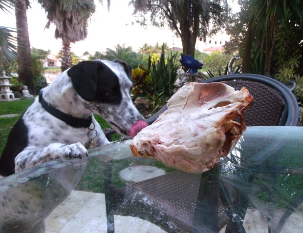 Very Happy Thanksgiving :-)