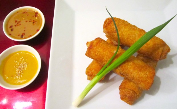 Chicken & Cabbage Egg Rolls