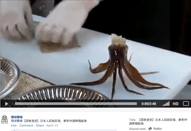 Too Much "Freshness"   ???