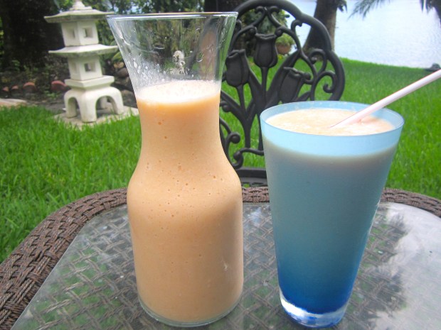 Cantaloupe Melon & Barceló Añejo Rum Smoothie