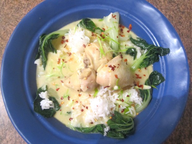 Chicken, Bok Choy & Rice In Spicy Coconut Broth