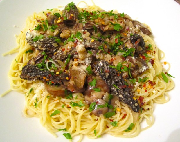 Angel Hair With Morells, Shiitake, Ceppes, Baby Bellas & Oyster Mushrooms In Cream Sauce