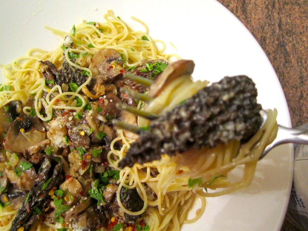 Angel Hair With Morells, Shiitake, Ceppes, Baby Bellas & Oyster Mushrooms In Cream Sauce