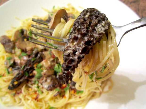Angel Hair With Morells, Shiitake, Ceppes, Baby Bellas & Oyster Mushrooms In Cream Sauce