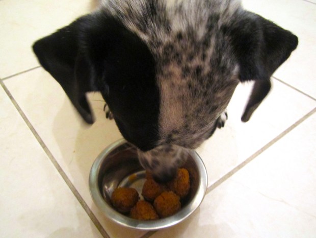 Bella's version, without the spicy sauce :-)