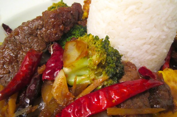 Szechuan Style Stir Fried Beef With Broccoli, Corn & Fan