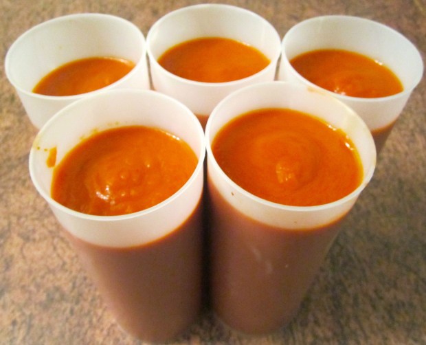 tomato sauce, ready to be frozen