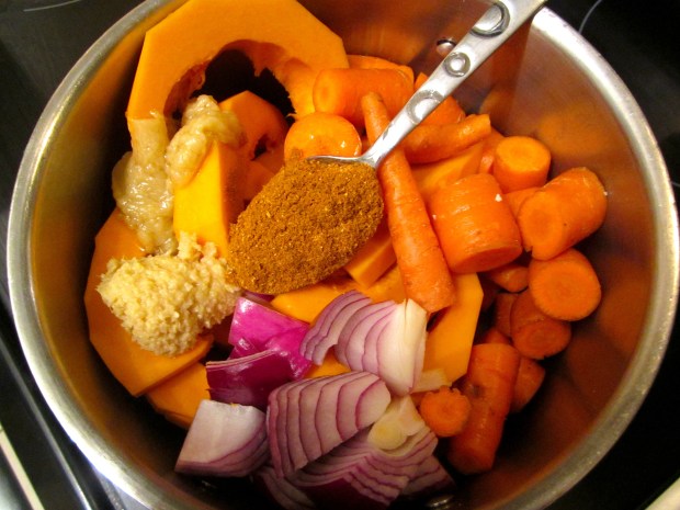 pumpkin, carrot, red onion, chicken stock, grated ginger, garlic paste, sea salt, hot sauce, nutmeg, simmer until all veggies are soft