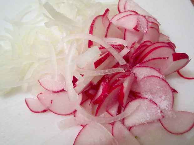 season sliced onions and sliced radishes with kosher salt, set aside