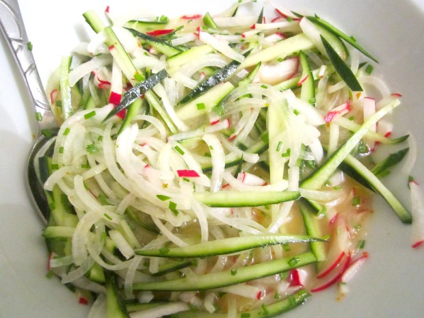 for the dresing, slice onions, cucumbers and radishes into fine julienne, add kosher salt, cayenne pepper, garlic paste, cider vinegarand a few drops of olive oil