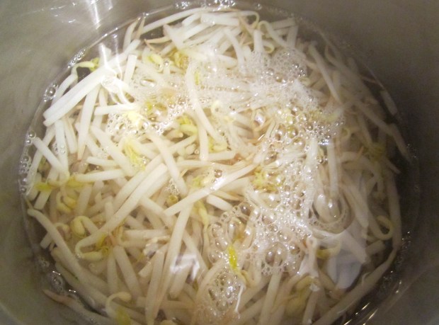 Meanwhile, blanch mong bean sprouts in salted, boiling water for 20 seconds, drain, shock in ice water, drain
