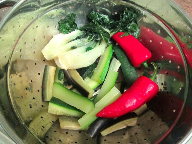 while the meat simmers, blanch zucchini batons, eggplant batons, whole chilies and baby bok choy, schock in ice water, drain. When the stew is done, add the vegetables to it and simmer until vegetables have heated through. Serve with white rice
