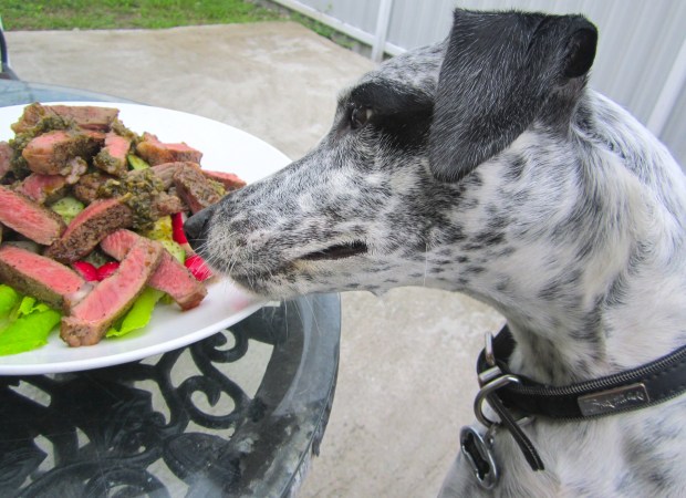 Bella say's: "Maybe not enough for the two of us ?! "