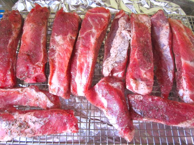 season ribs with kosher salt, cayenne pepper, granulated garlic and five spice powder, cook at 230 F on a rack above a wter filled baking pan until very tender, about three to four hours, depending on the size and quality of the ribs