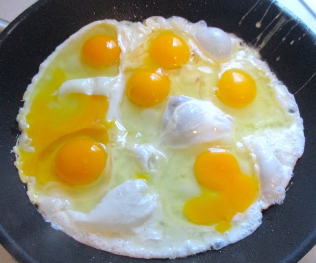 fry eggs in garlic oil, season with kosher salt