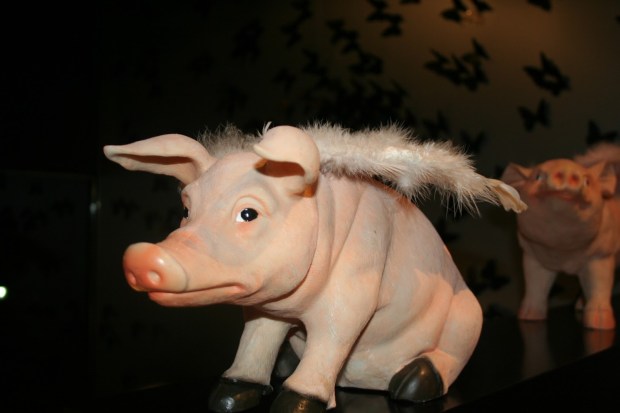 Image Property of DiverXO