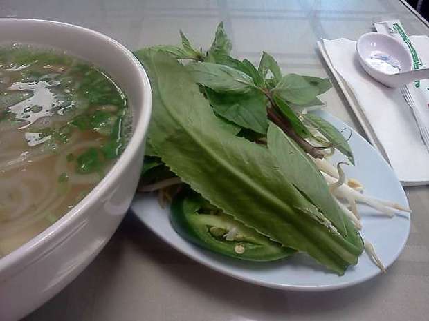 pho at PHO   (great taste but as you can see, mostly broth and herbs)