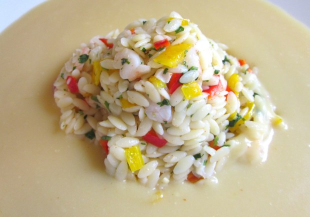 Cauliflower Soup With Orzo & Shrimp Salad