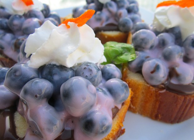 Hans' Blueberry Delight