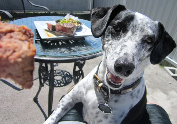 first bite for Bella, as usual :-)