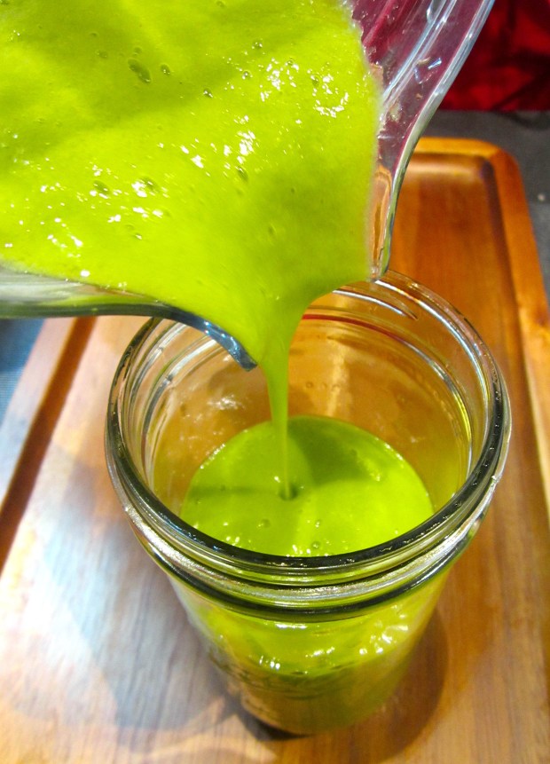 Spinach & Fruit Smoothie