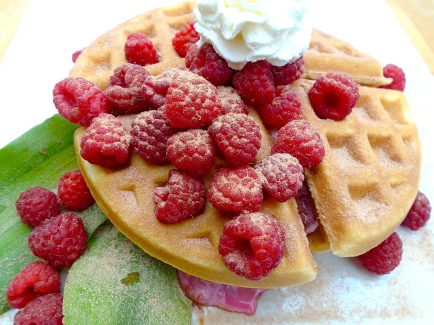 Belgian Buttermilk Waffles With Fresh Raspberries, Yogurt And Honey