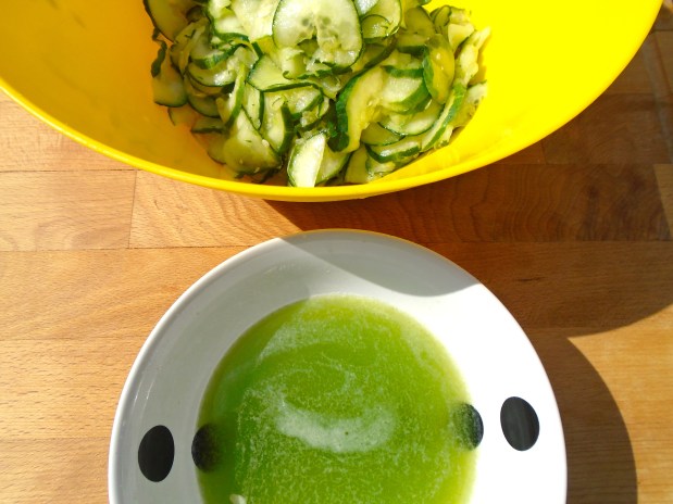after 15 minutes, squeeze all excess water/juices from the cucumbers, discard the liquid