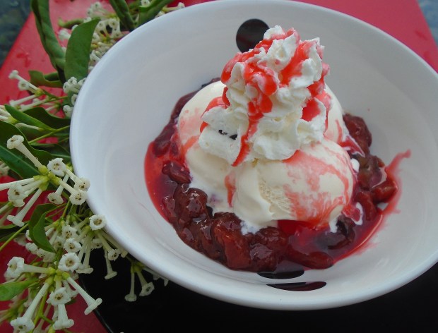 Vanilla Ice cream With Powidl , Whipped Cream And Sweet Plum Sauce